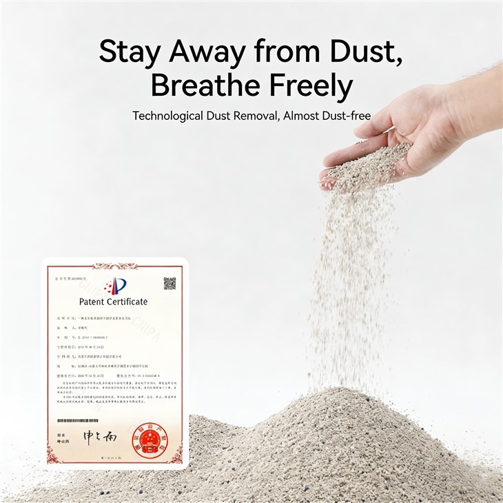 Sepiolite Cat Litter best