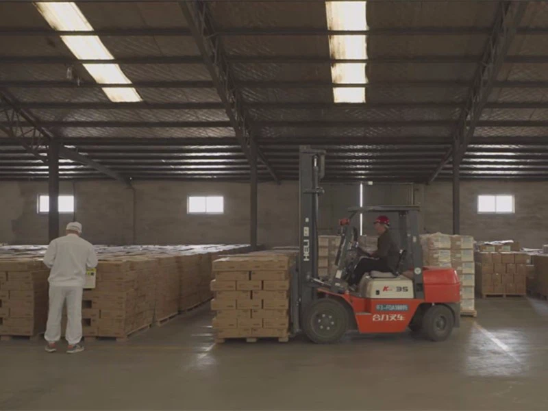 product-800-600 product-800-600